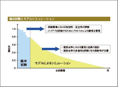 モデルシミュレーションは魔法の箱？　妥当性と不確実性を考える